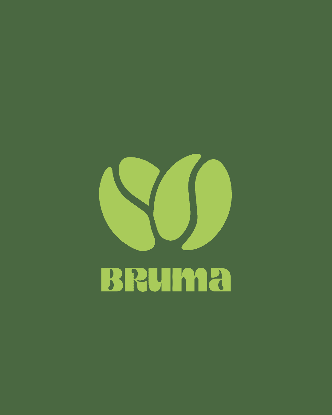 Bruma Brand Mockup 2